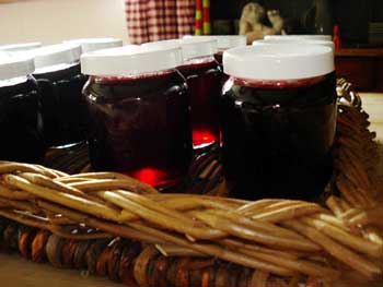 Currant juice (preserved)