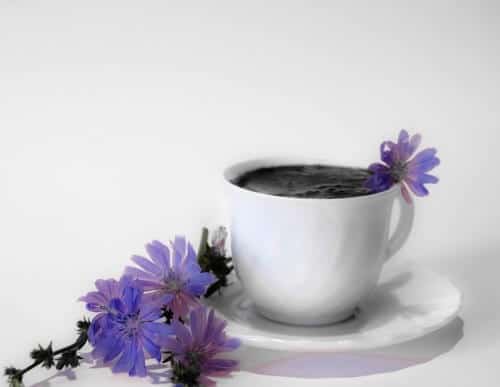 Chicory coffee
