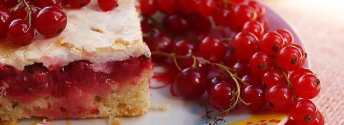 Red currant pie