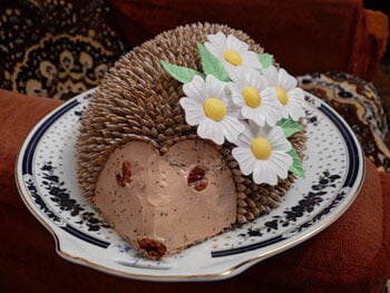 Cake “hedgehog”