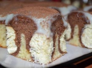 Cocoa cake with cheese and coconut flakes