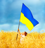 Origin of the national flag of Ukraine and its present usage